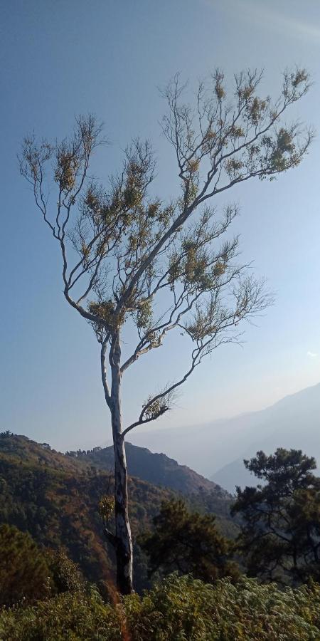 Ale Chojeke Διαμέρισμα Kalimpong Εξωτερικό φωτογραφία
